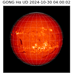 gong - 2024-10-30T04:00:02