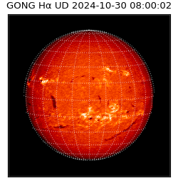 gong - 2024-10-30T08:00:02