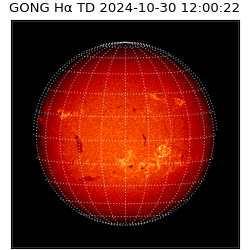 gong - 2024-10-30T12:00:22