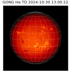 gong - 2024-10-30T13:00:22