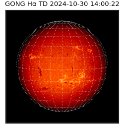 gong - 2024-10-30T14:00:22