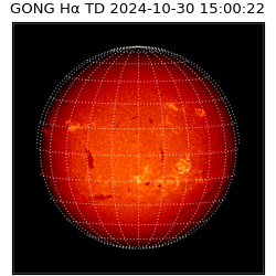 gong - 2024-10-30T15:00:22