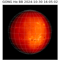 gong - 2024-10-30T16:05:02