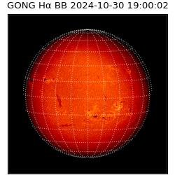 gong - 2024-10-30T19:00:02