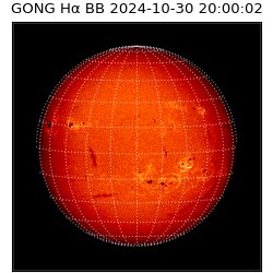 gong - 2024-10-30T20:00:02