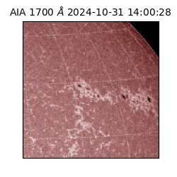 saia - 2024-10-31T14:00:28.733000