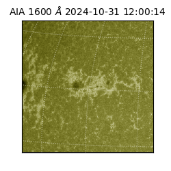 saia - 2024-10-31T12:00:14.126000