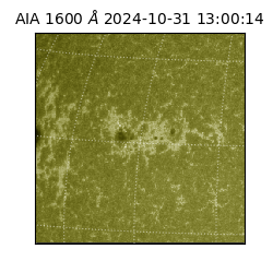 saia - 2024-10-31T13:00:14.126000