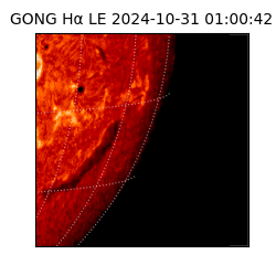 gong - 2024-10-31T01:00:42