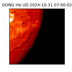 gong - 2024-10-31T07:00:02