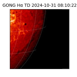 gong - 2024-10-31T08:10:22
