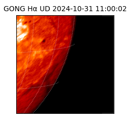 gong - 2024-10-31T11:00:02