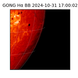 gong - 2024-10-31T17:00:02