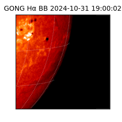 gong - 2024-10-31T19:00:02