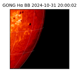 gong - 2024-10-31T20:00:02