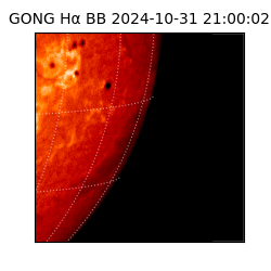 gong - 2024-10-31T21:00:02