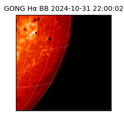 gong - 2024-10-31T22:00:02