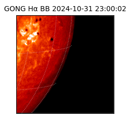 gong - 2024-10-31T23:00:02