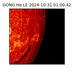 gong - 2024-10-31T01:00:42