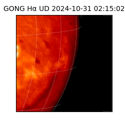 gong - 2024-10-31T02:15:02