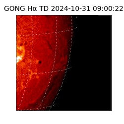 gong - 2024-10-31T09:00:22