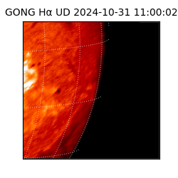 gong - 2024-10-31T11:00:02