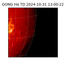 gong - 2024-10-31T13:00:22