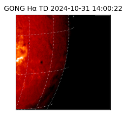 gong - 2024-10-31T14:00:22