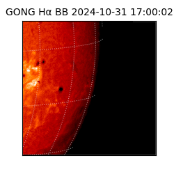 gong - 2024-10-31T17:00:02