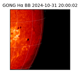 gong - 2024-10-31T20:00:02