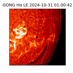 gong - 2024-10-31T01:00:42