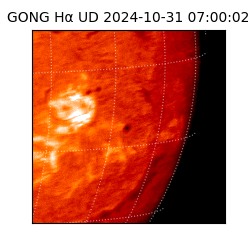 gong - 2024-10-31T07:00:02