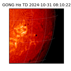 gong - 2024-10-31T08:10:22