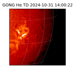 gong - 2024-10-31T14:00:22