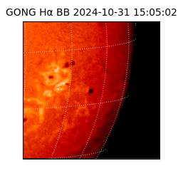 gong - 2024-10-31T15:05:02