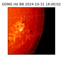 gong - 2024-10-31T16:00:02