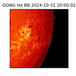 gong - 2024-10-31T20:00:02