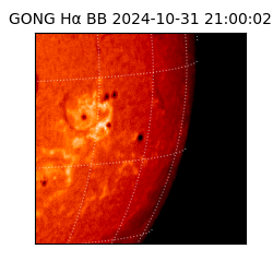 gong - 2024-10-31T21:00:02