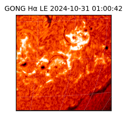 gong - 2024-10-31T01:00:42