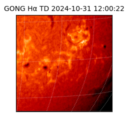 gong - 2024-10-31T12:00:22