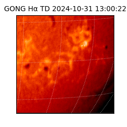 gong - 2024-10-31T13:00:22