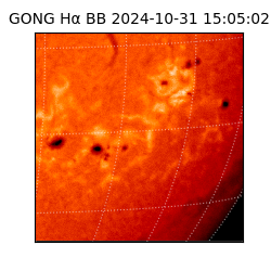 gong - 2024-10-31T15:05:02