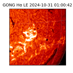 gong - 2024-10-31T01:00:42