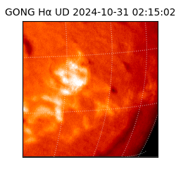 gong - 2024-10-31T02:15:02