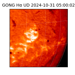 gong - 2024-10-31T05:00:02