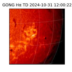 gong - 2024-10-31T12:00:22