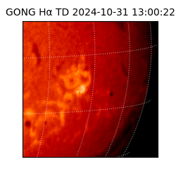 gong - 2024-10-31T13:00:22