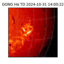 gong - 2024-10-31T14:00:22