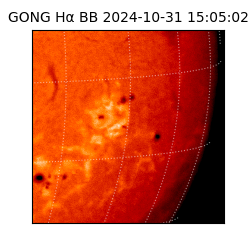 gong - 2024-10-31T15:05:02