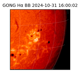 gong - 2024-10-31T16:00:02